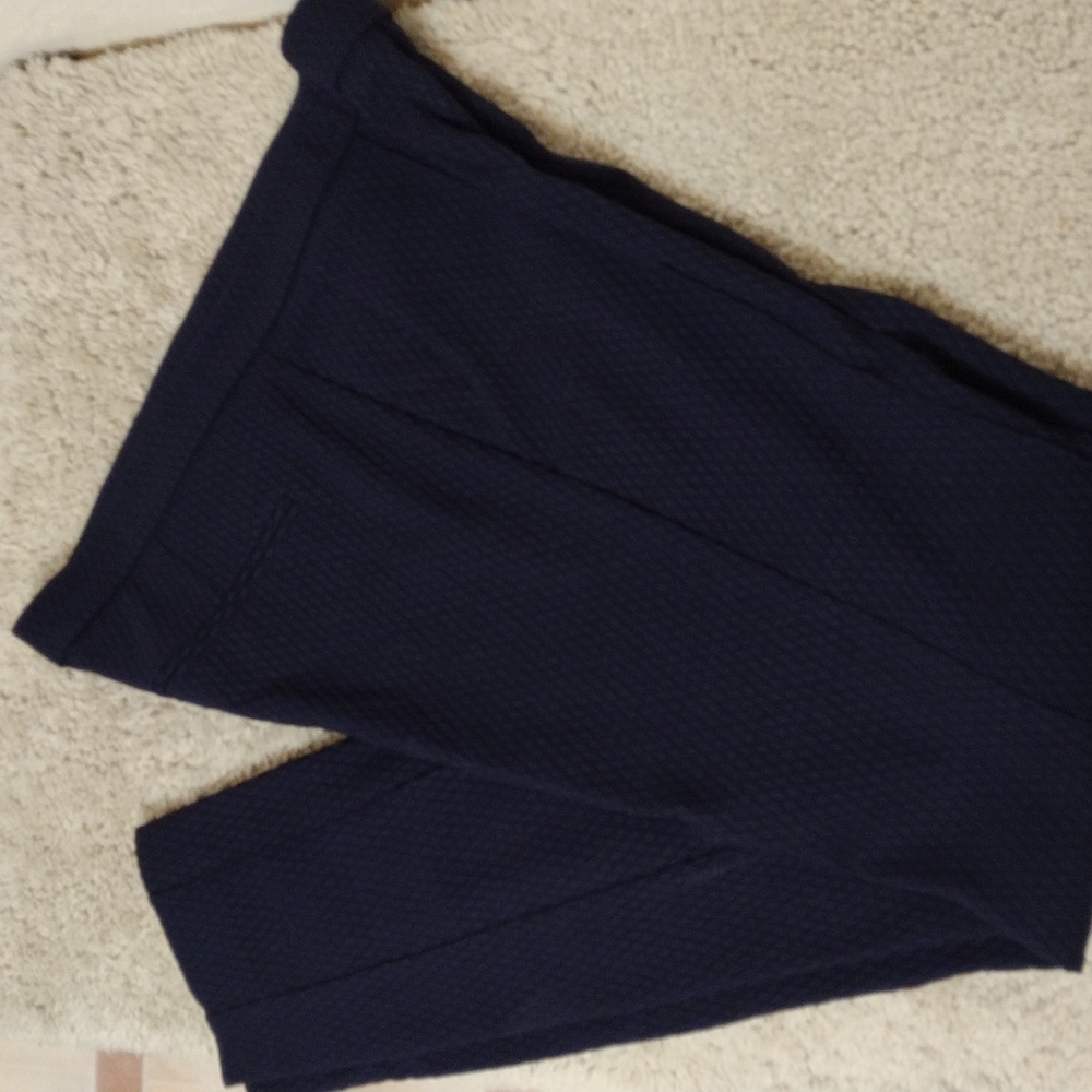 Dalia Size 8 dress stretch pants full length. Like new.
